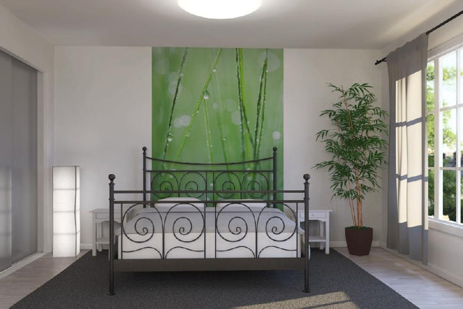 PHOTOWALL / Green Formation (e19458)