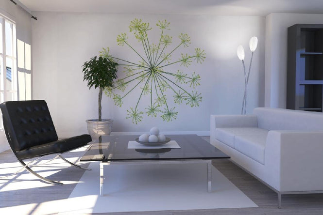 PHOTOWALL / Dill (e19455)