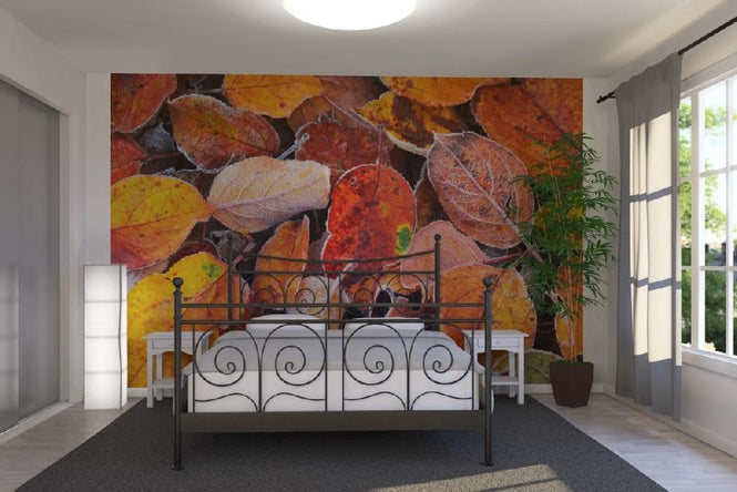 PHOTOWALL / Colorful Leaves (e19442)