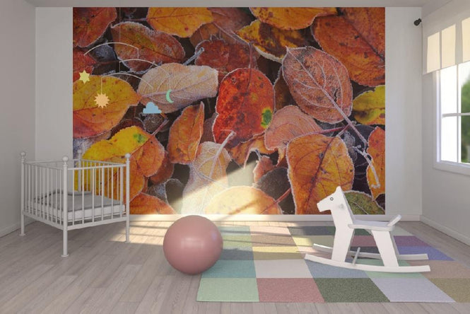 PHOTOWALL / Colorful Leaves (e19442)