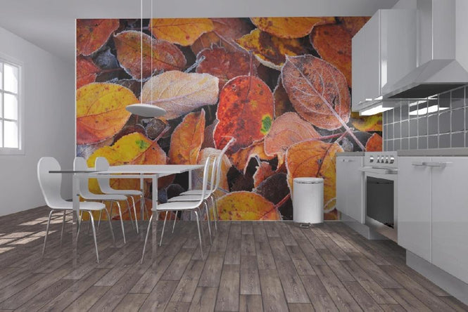 PHOTOWALL / Colorful Leaves (e19442)