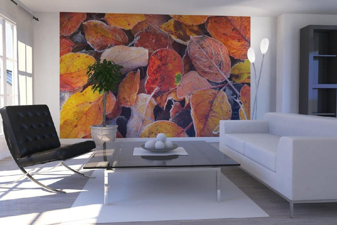 PHOTOWALL / Colorful Leaves (e19442)
