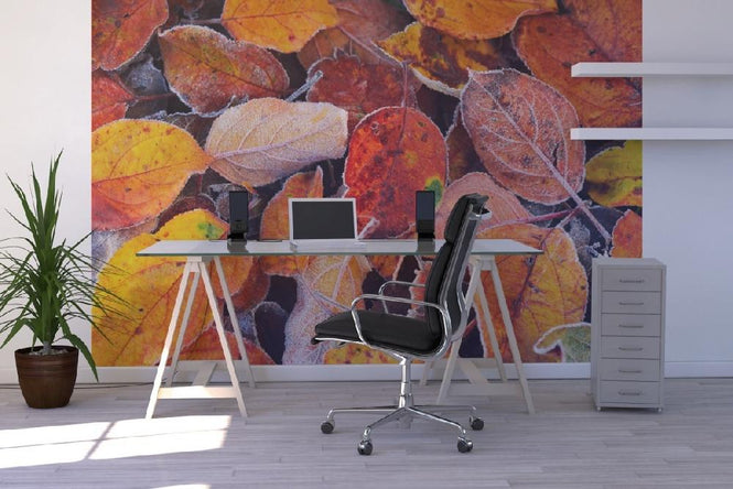 PHOTOWALL / Colorful Leaves (e19442)