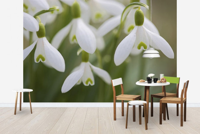 PHOTOWALL / Harmony (e19418)