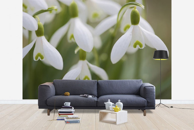 PHOTOWALL / Harmony (e19418)