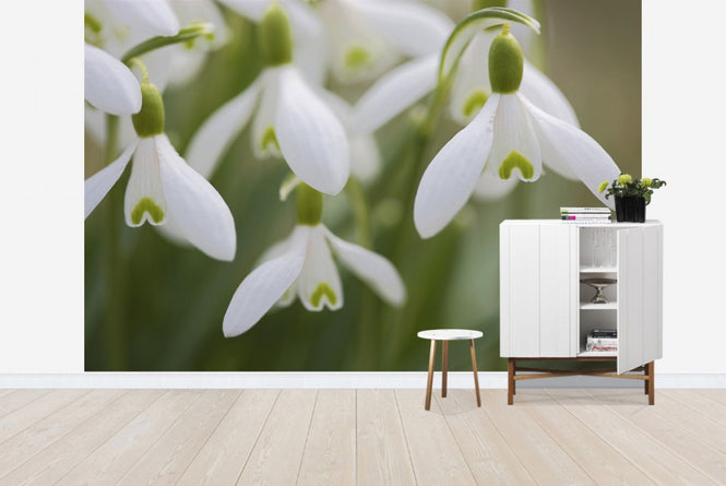 PHOTOWALL / Harmony (e19418)