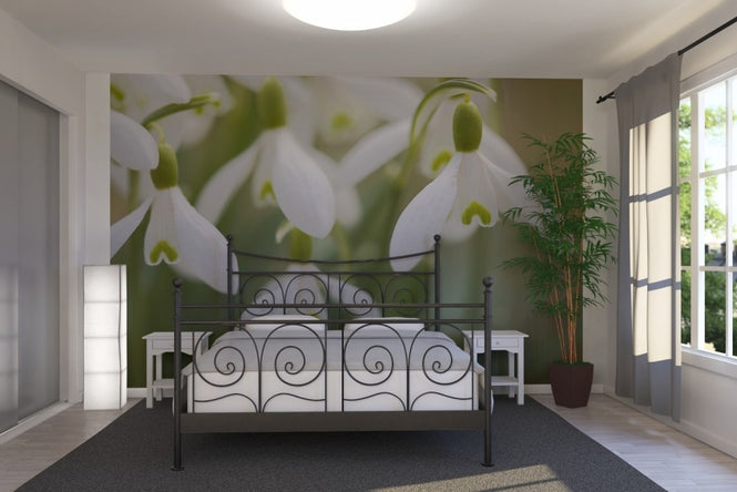 PHOTOWALL / Harmony (e19418)