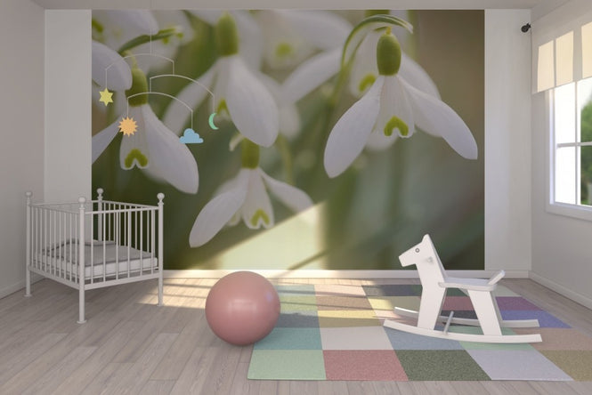 PHOTOWALL / Harmony (e19418)