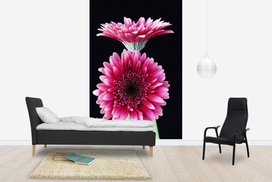 PHOTOWALL / Gerbera (e19405)