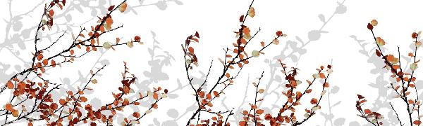 PHOTOWALL / Mountain Birch Orange (e19526)