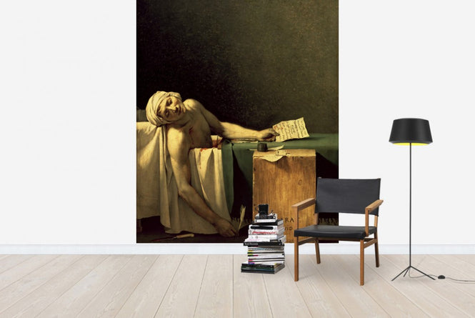 PHOTOWALL / Louis David,Jacques (e10345)