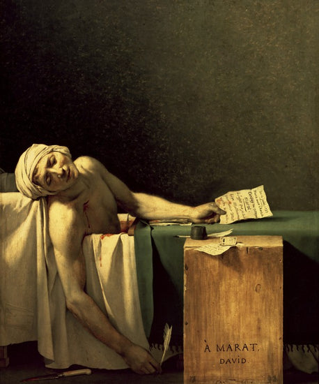 PHOTOWALL / Louis David,Jacques (e10345)
