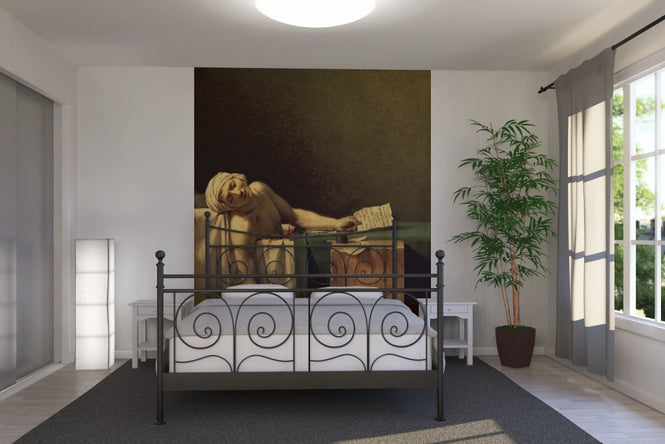 PHOTOWALL / Louis David,Jacques (e10345)