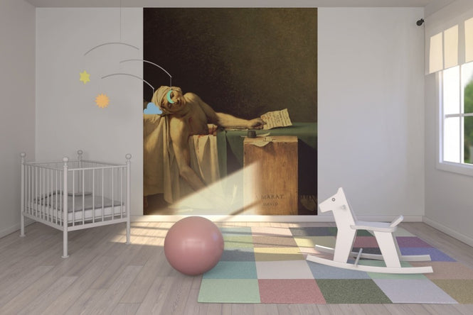 PHOTOWALL / Louis David,Jacques (e10345)