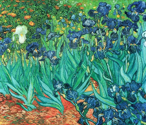 PHOTOWALL / van Gogh,Vincent - Irises (e10361)