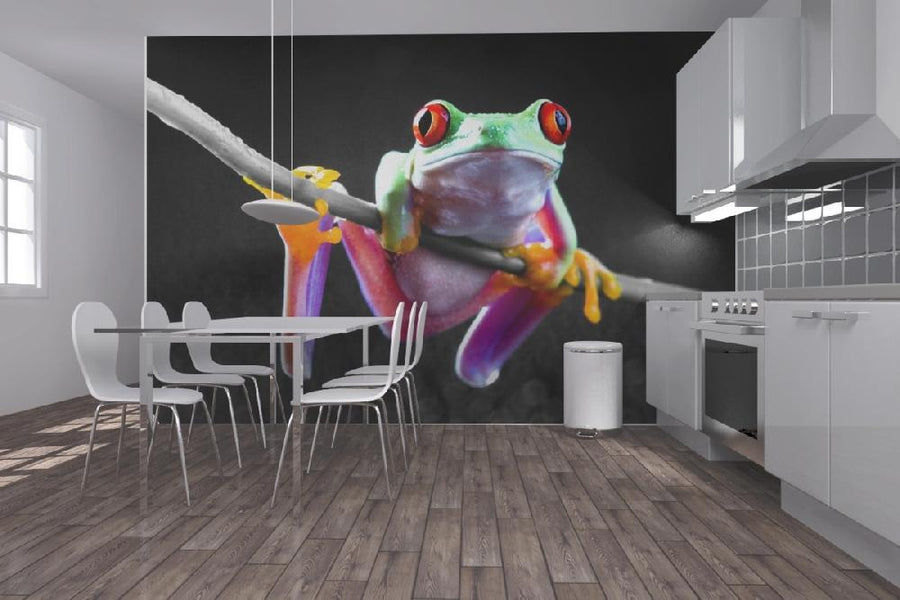 PHOTOWALL / Red Frog - Colorsplash (e19675)