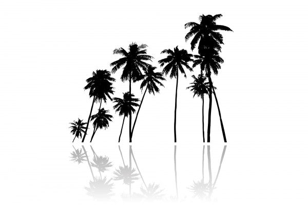 PHOTOWALL / Black Palms (e19686)