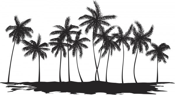 PHOTOWALL / Palms (e19687)