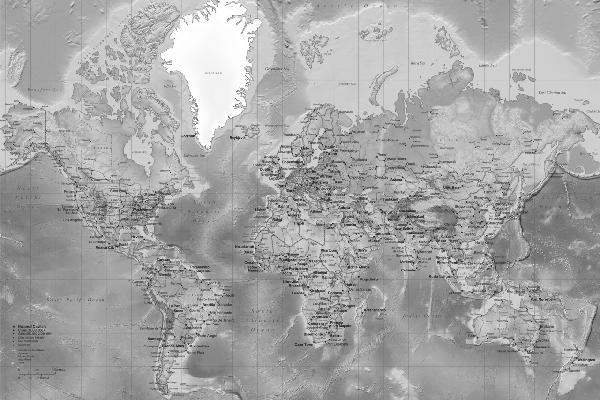 PHOTOWALL / World Map - Detailed Grey (e19712)