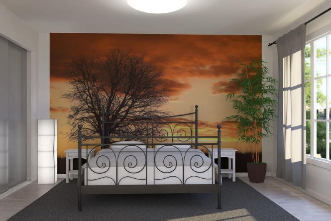 PHOTOWALL / Tree in Sunset (e19691)