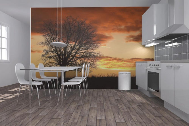 PHOTOWALL / Tree in Sunset (e19691)