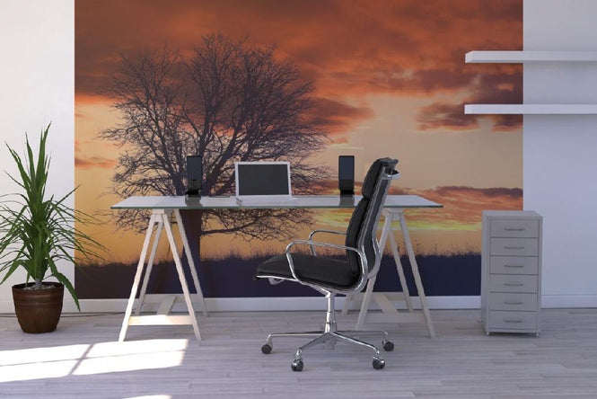 PHOTOWALL / Tree in Sunset (e19691)