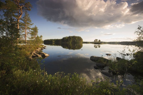 PHOTOWALL / Swedish Summer Landscape (e19699)
