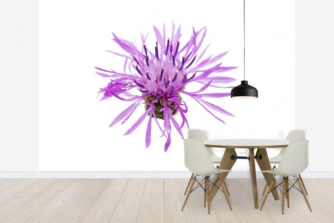 PHOTOWALL / Lilac (e19700)