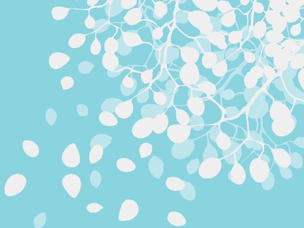 PHOTOWALL / Birch - Turquoise (e19729)