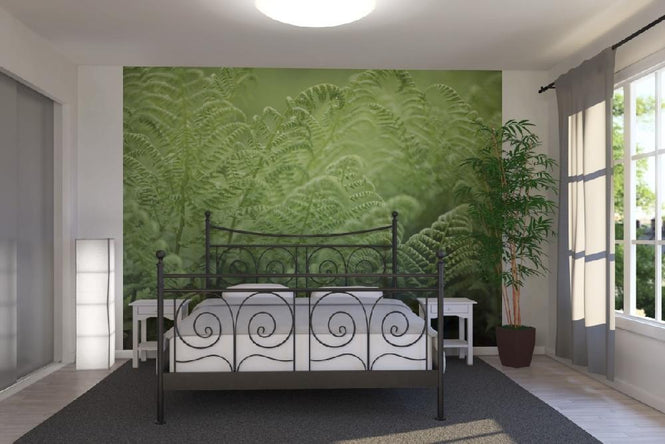 PHOTOWALL / Bracken - Fern (e19803)