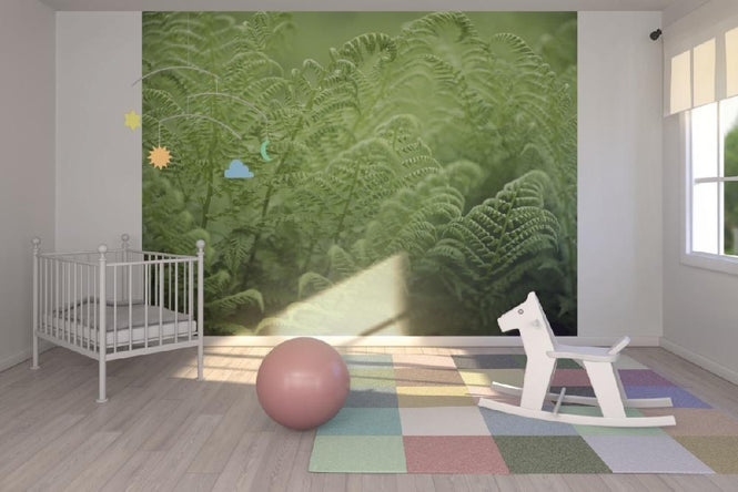 PHOTOWALL / Bracken - Fern (e19803)