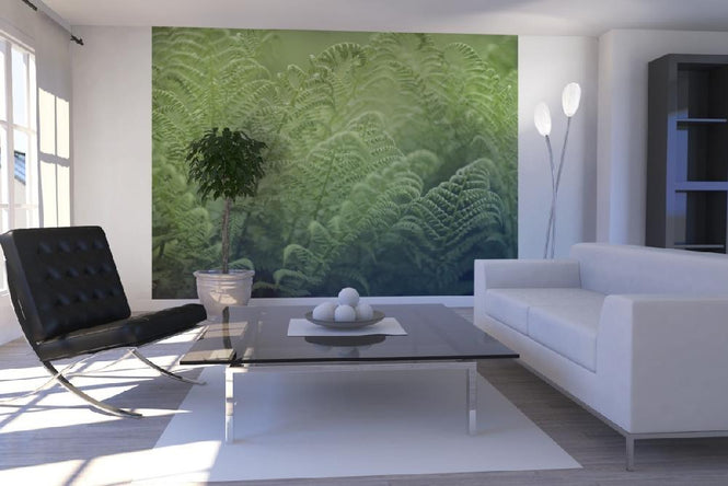 PHOTOWALL / Bracken - Fern (e19803)