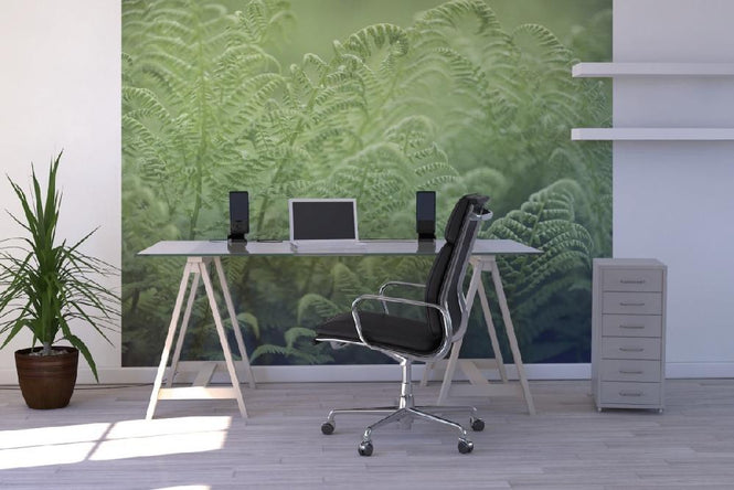 PHOTOWALL / Bracken - Fern (e19803)