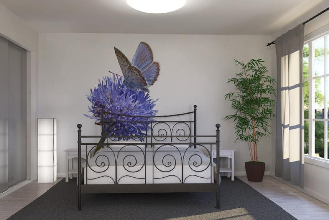PHOTOWALL / Julius Butterfly (e19847)