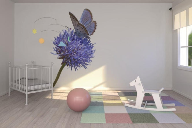 PHOTOWALL / Julius Butterfly (e19847)
