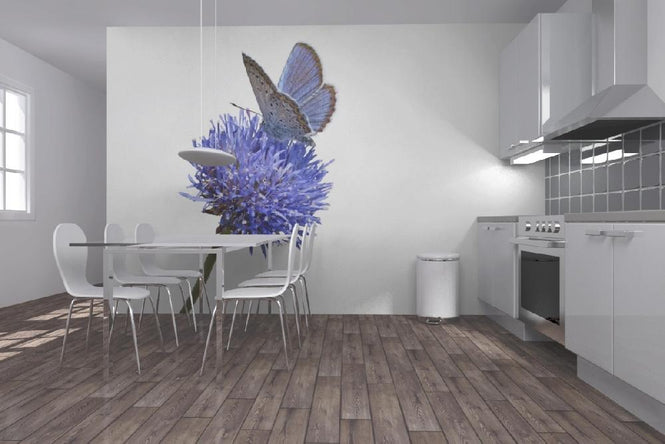 PHOTOWALL / Julius Butterfly (e19847)