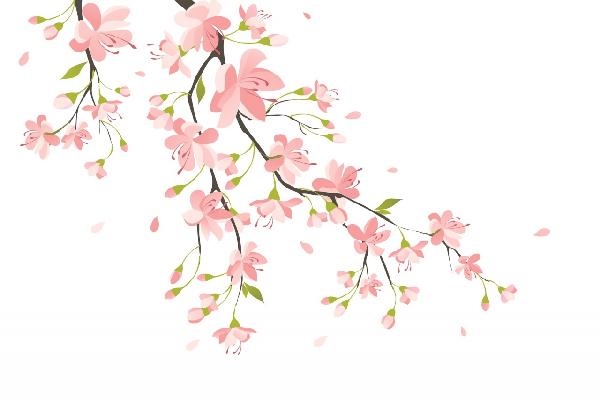 PHOTOWALL / Branch with Pink Flowers (e19852)