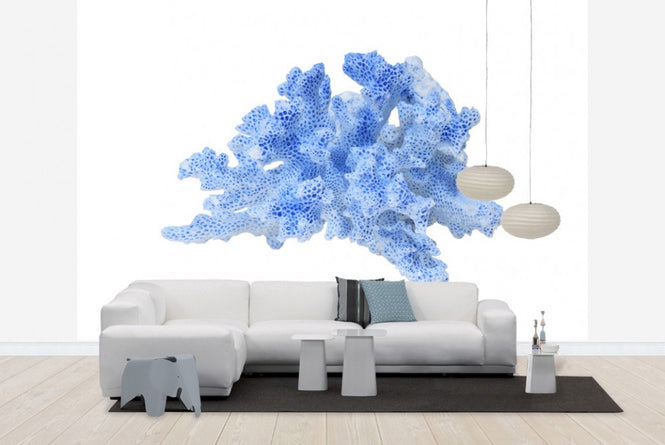 PHOTOWALL / Blue Coral (e19854)