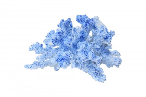 PHOTOWALL / Blue Coral (e19854)