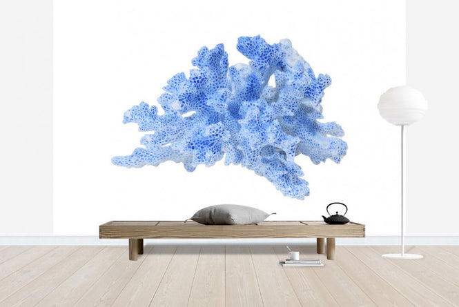 PHOTOWALL / Blue Coral (e19854)