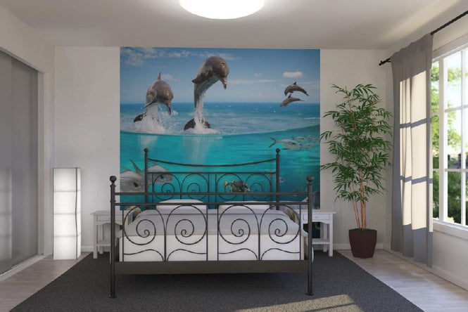 PHOTOWALL / Sea Life (e19857)