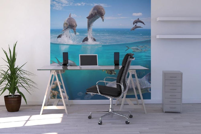PHOTOWALL / Sea Life (e19857)
