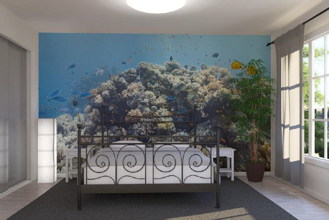 PHOTOWALL / Crowded Coral Colony (e19871)
