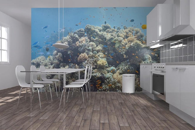 PHOTOWALL / Crowded Coral Colony (e19871)