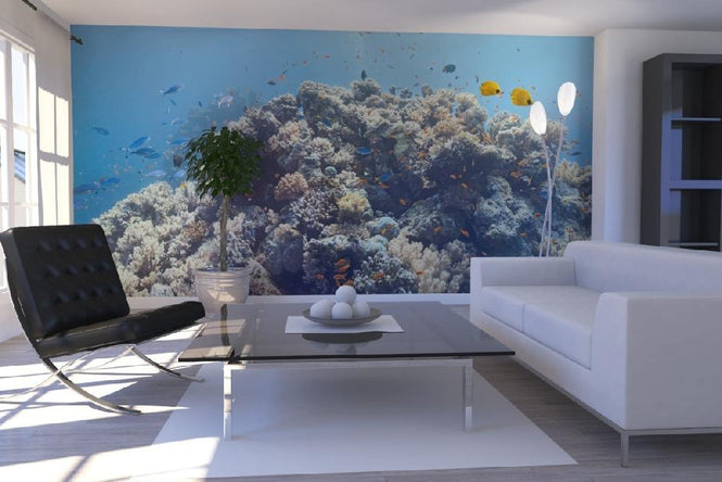 PHOTOWALL / Crowded Coral Colony (e19871)