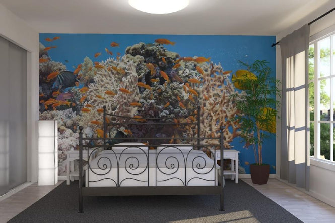 PHOTOWALL / Coral Scene - Panorama (e19873)
