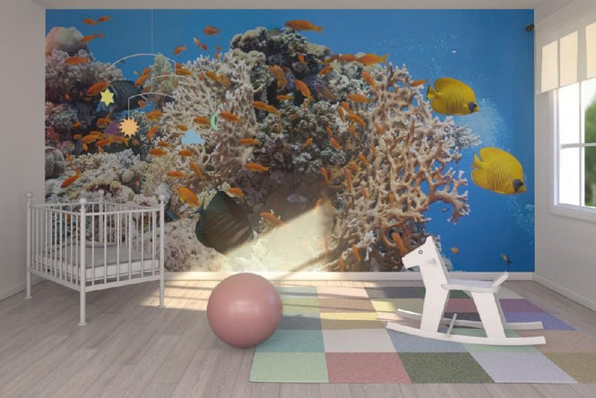 PHOTOWALL / Coral Scene - Panorama (e19873)