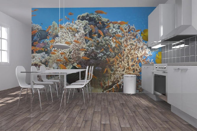 PHOTOWALL / Coral Scene - Panorama (e19873)
