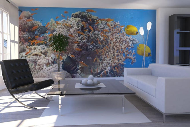 PHOTOWALL / Coral Scene - Panorama (e19873)