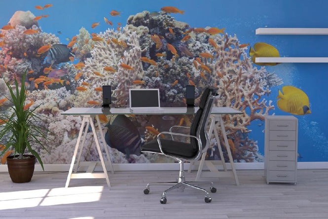 PHOTOWALL / Coral Scene - Panorama (e19873)